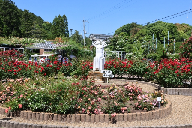霊山寺バラ
