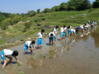 飯田　田植え体験 